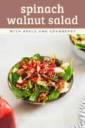 cranberry spinach walnut salad.