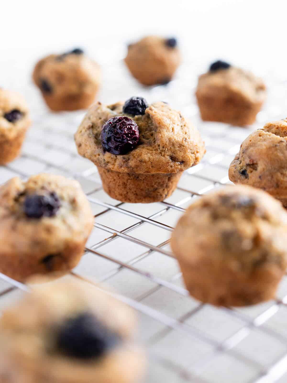 wire rack with blueberry mini muffins cooling.