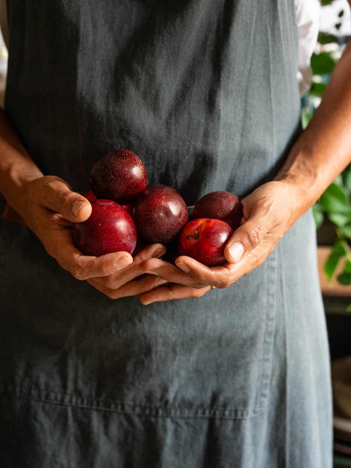 man holding bunch of plums.