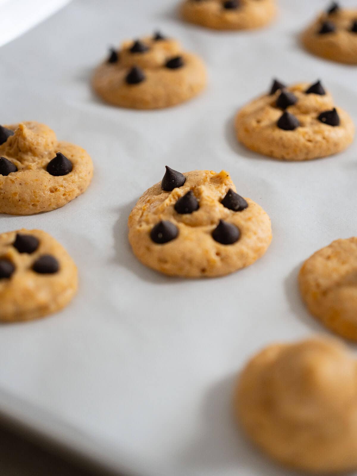 chocolate chip pumpkin cookies on parchment paper before getting them into the oven.