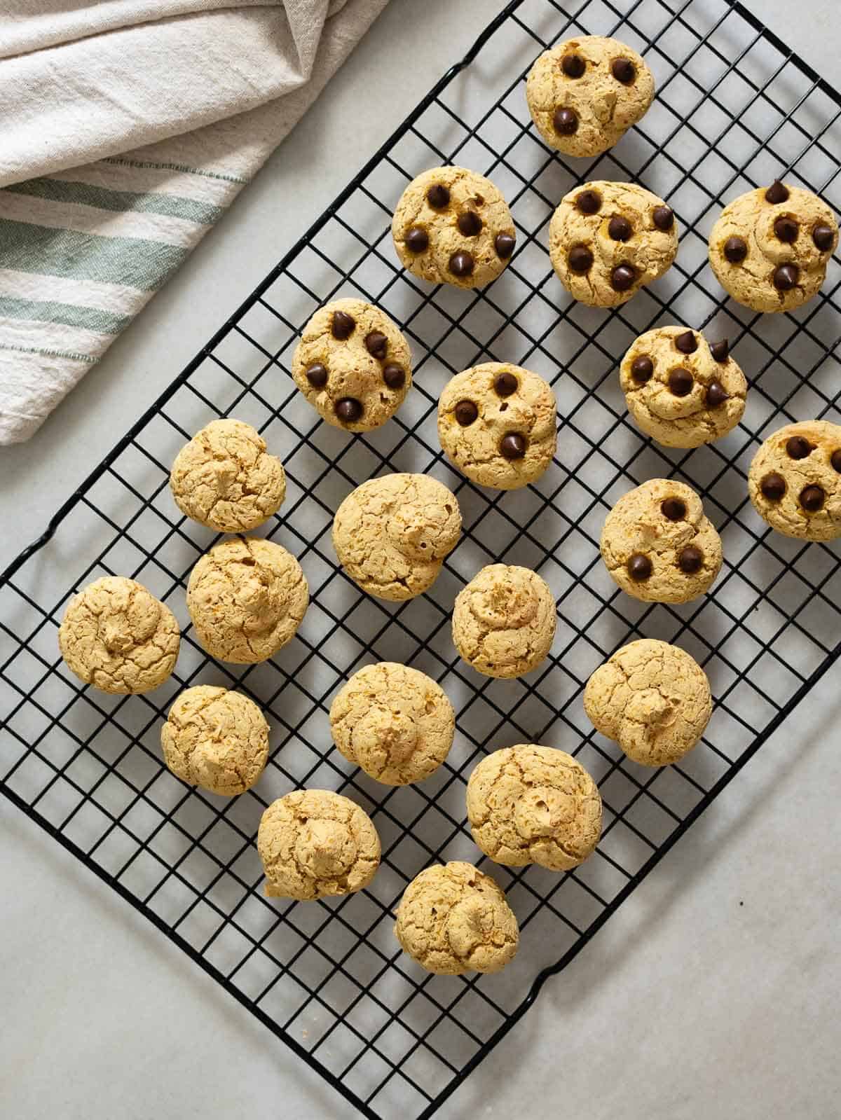 spice pumpkin cookies cooling in wire rack.