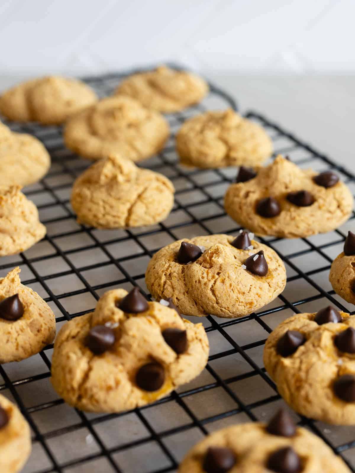 cookies cooling in wire rack.