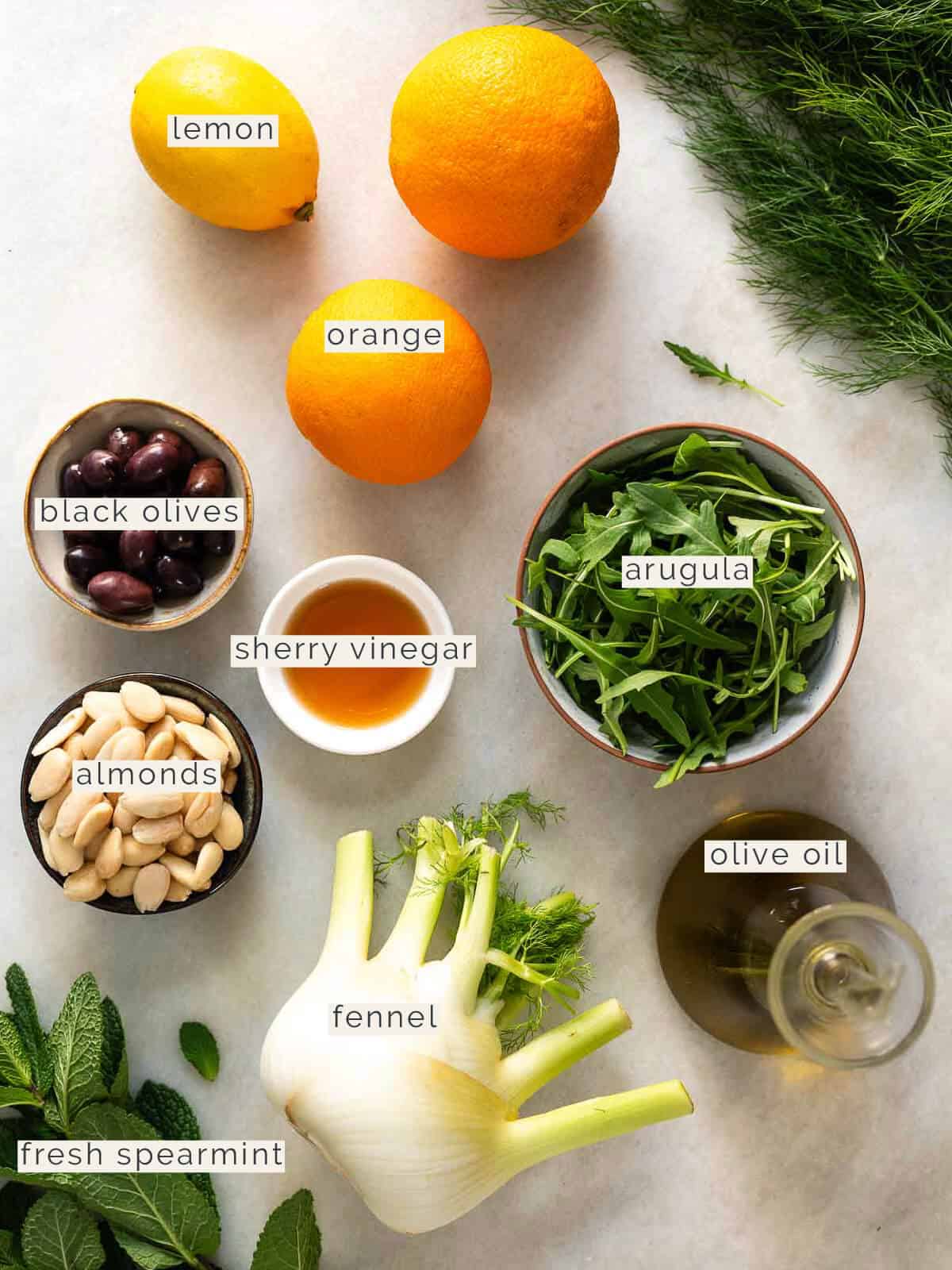 labeled ingredients to make a fennel and orange salad.