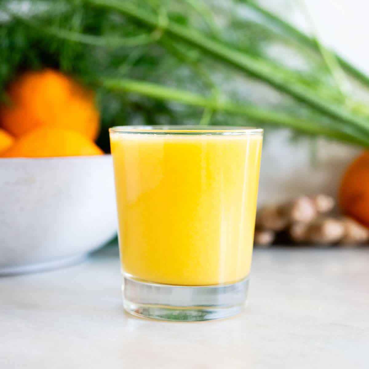 Fennel Juice for Upset Stomach (Juicer or Blender)