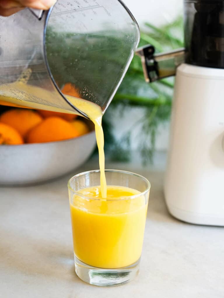 Fennel Juice For Upset Stomach Juicer Or Blender fennel-juice-for-upset-stomach-juicer-or-blender