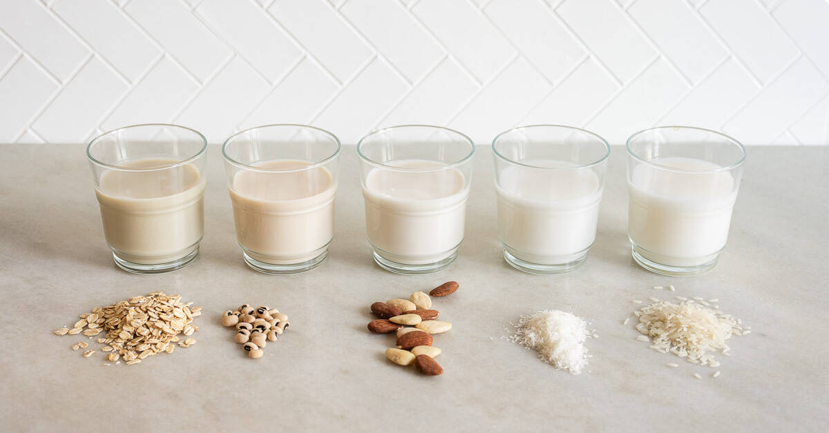 Five glasses are neatly aligned on a countertop, each containing a different type of plant milk. In front of the glasses are small piles of their corresponding raw ingredients: rolled oats, soybeans, almonds mixed with cashews, shredded coconut, and rice grains. 