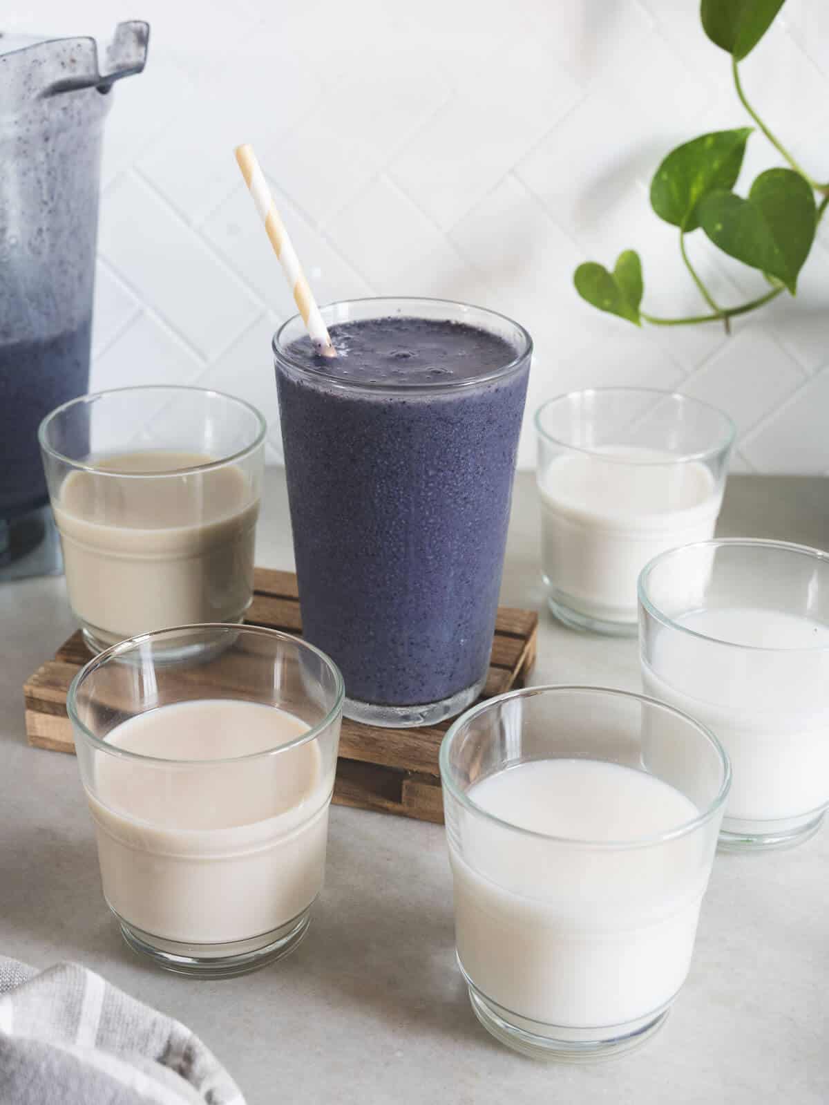 In the center, a vibrant blueberry smoothie in a tall glass with a striped straw stands out against a backdrop of five different glasses of plant milk. The smoothie's rich purple hue suggests a blend of blueberries and plant milk, while the surrounding glasses showcase the variety of milks in shades of white to beige